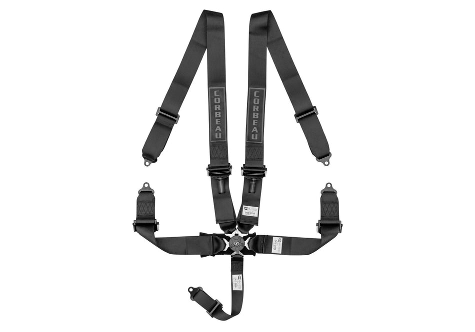 Blue 5-Point Camlock
