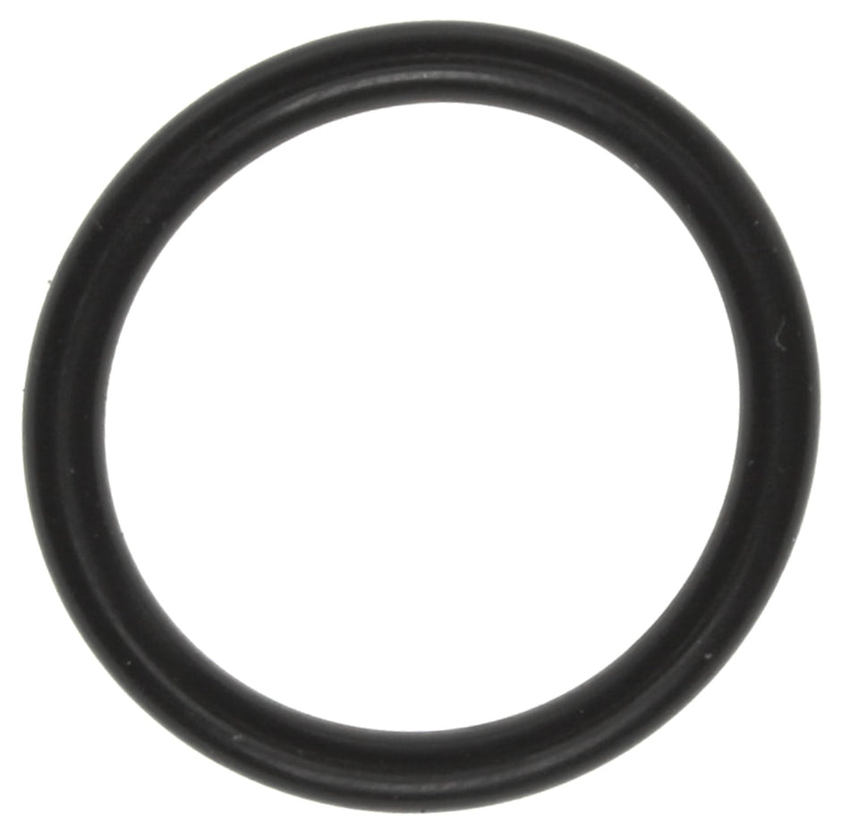 19 X 2.5 MM(Metric inOin Ring)