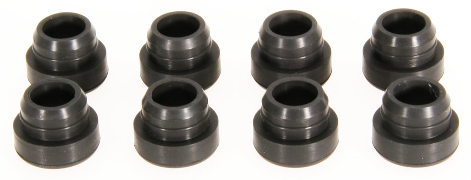 Ford Truck V6 3.8L Windstar 1999-2003. (Grommet Only)