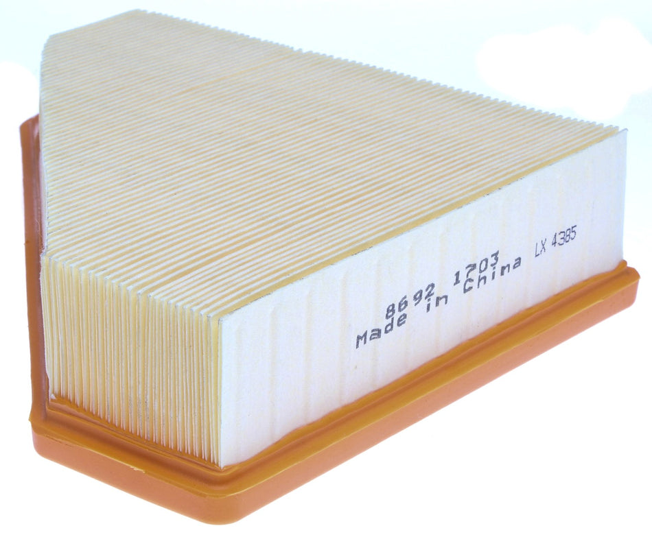 Mahle Air Filter